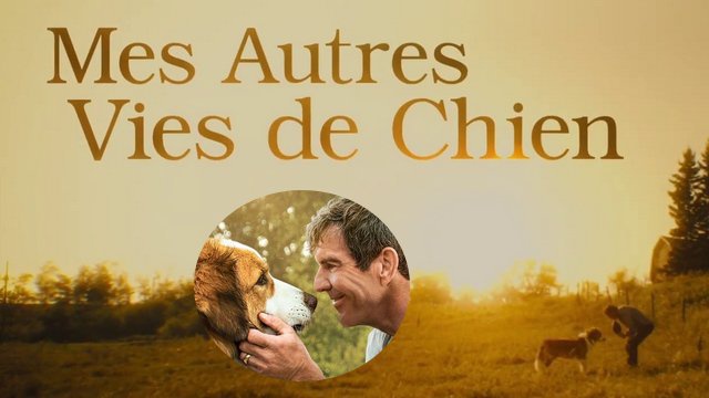 Bande Annonce Du Film Quot Mes Autres Vies De Chien Quot 2019 En Vf